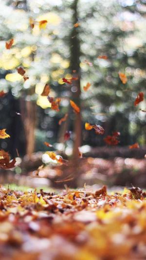 可靠的上海网站建设公司截图4