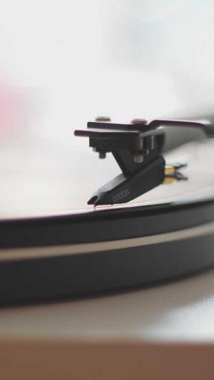 泛目录站群作用截图4