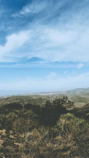 蜘蛛池和寄生虫区别截图3