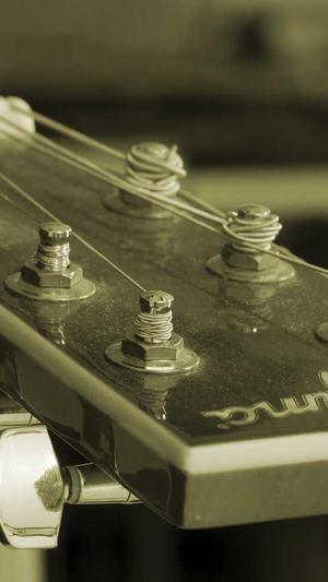 搜外蜘蛛池截图4