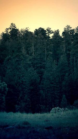 安徽360蜘蛛池租用截图4