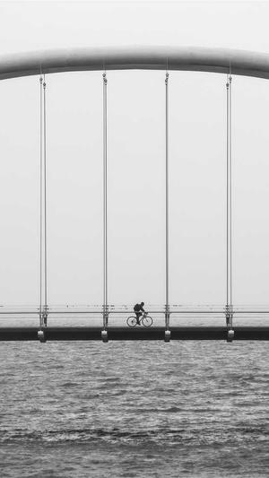 蜘蛛池怎么挂链截图3