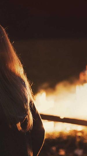 四川省住房和城乡建设厅网站截图2