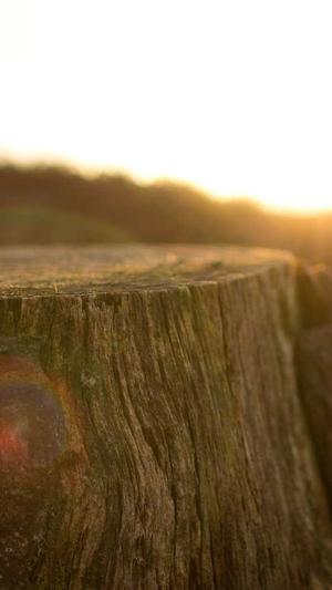 阿里蜘蛛池 被k截图2