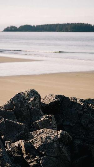 那个网站建设公司好截图5