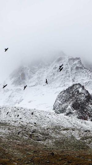 企业展示型网站建设截图2