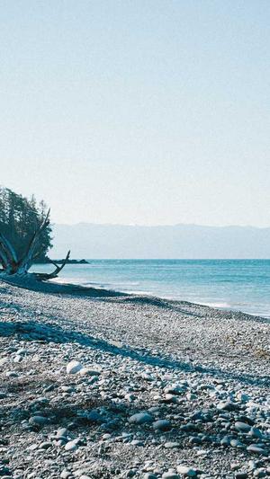 泛目录单页模板截图3