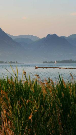 搜狗泛目录程序截图3