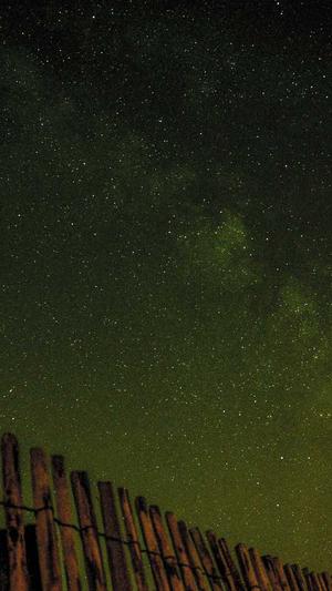 蜘蛛池免费seo教程截图4