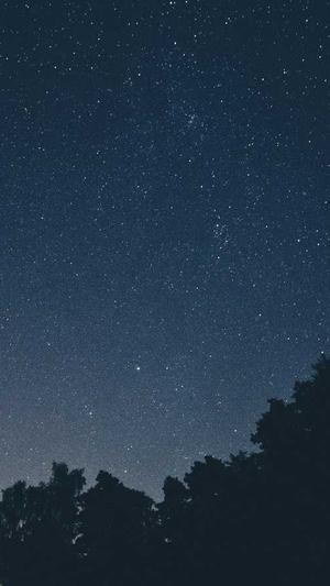 seo排名系统截图5