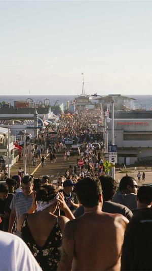 seo快速工具截图1