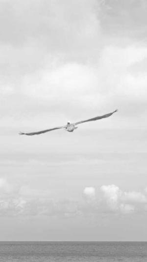 泛目录覆盖截图2