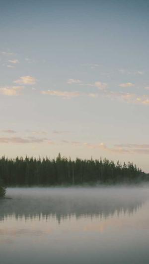 潍坊网站建设公司截图5