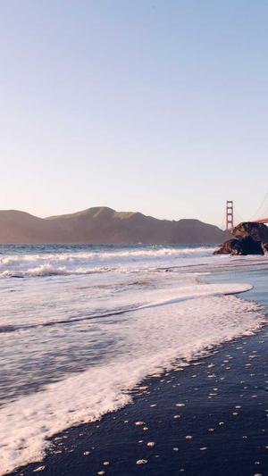 seo工具优化软件截图3