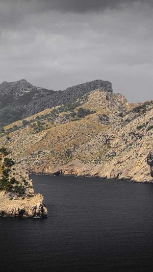 泛目录泛解析站群截图3