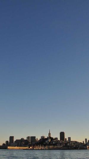 seo自动推广工具截图3