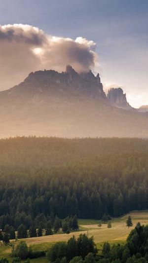 搭建小型蜘蛛池截图1