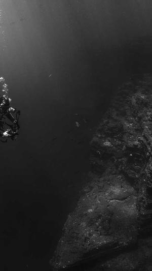 台州网站建设公司截图4