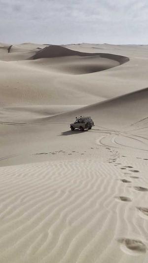 seo采集工具有哪些截图3