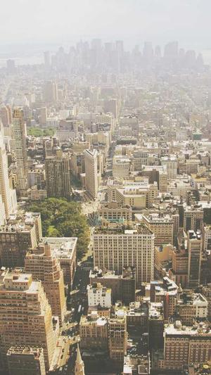 惠州网站建设截图5