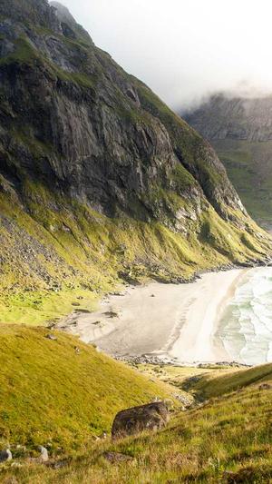 蜘蛛池网址截图1