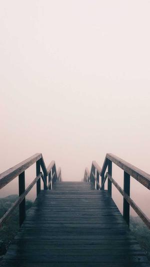 石家庄网站建设截图2