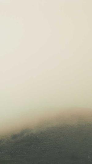 蜘蛛池对关键词有用吗截图5