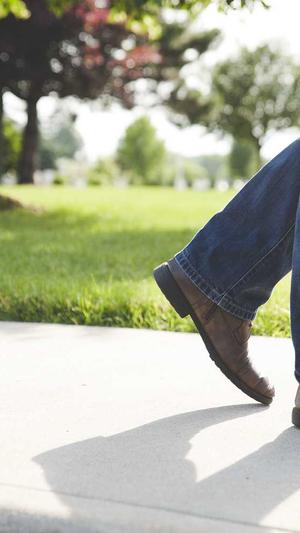 泛目录程序如何搭建截图1