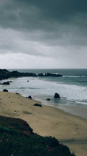 免费seo快速收录工具截图5