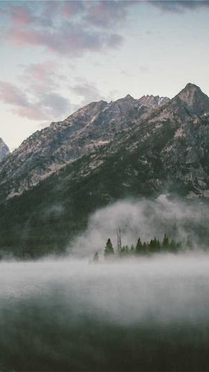 泛目录站群源码开源截图1