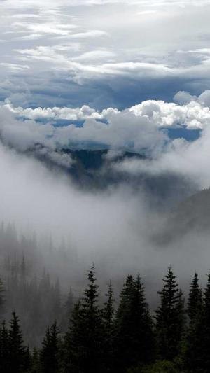 百度蜘蛛池排行榜第几截图1