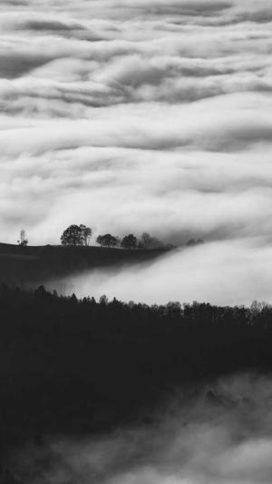 蜘蛛池是站群吗截图1