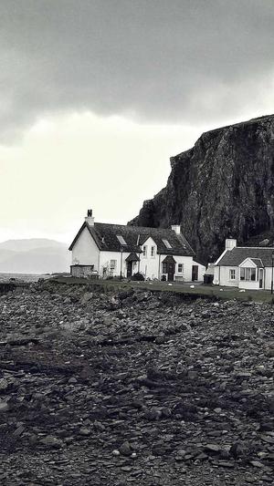 头条蜘蛛池价格优惠截图4