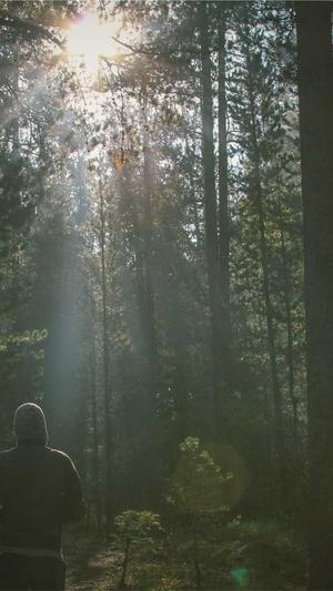 seo优化排名工具排名截图2