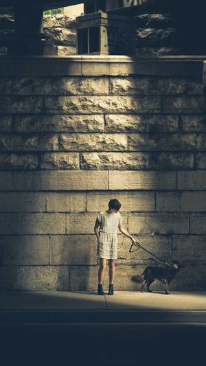 seo泛目录询问 旺客专家好截图1